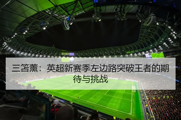 三笘薰：英超新赛季左边路突破王者的期待与挑战