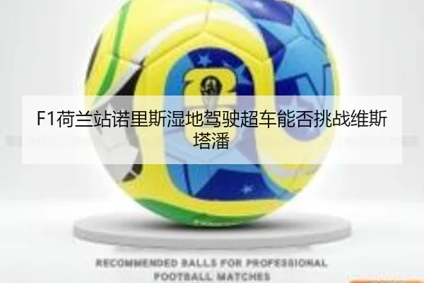 he-lan-zhan-nuo-li-si-shi-di-jia-shi-chao-che-neng-fou-tiao-zhan-wei-si-ta-pan-2-956.jpg