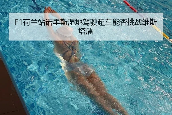 F1荷兰站诺里斯湿地驾驶超车能否挑战维斯塔潘
